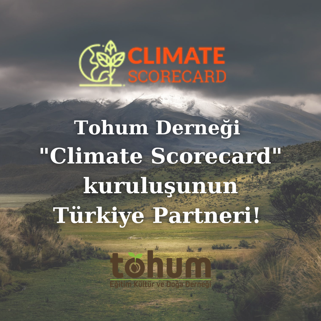 Tohum Derneği Climate Scorecard Türkiye partneri oldu!